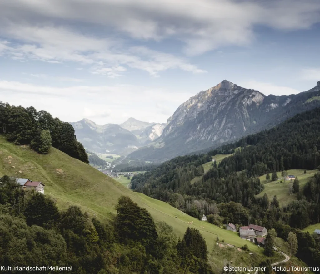 ARGE Waldschutzverein - Mellental betitelt (c) Stefan Leitner - Mellau Tourismus